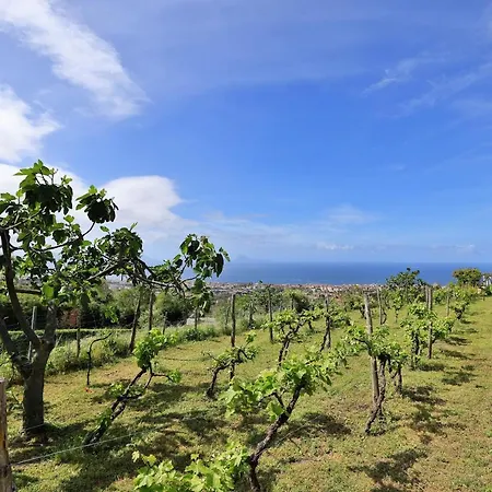 Farm stay Tenuta Le Fornacelle