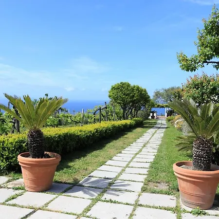 Farm stay Tenuta Le Fornacelle Torre del Greco