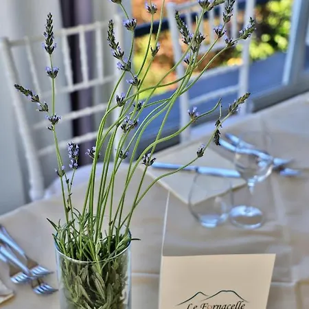 Tenuta Le Fornacelle Farm stay Torre del Greco
