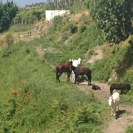 Farm stay Tenuta Le Fornacelle