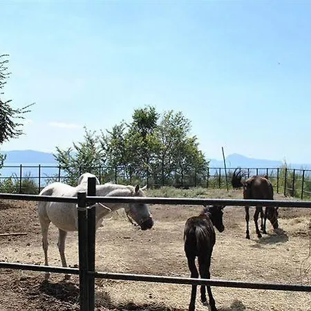 Tenuta Le Fornacelle Farm stay