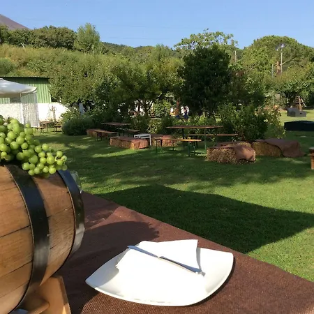 Tenuta Le Fornacelle Farm stay
