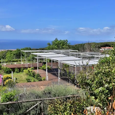 Tenuta Le Fornacelle Torre del Greco