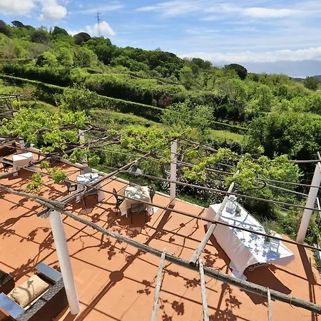 Lantgård Tenuta Le Fornacelle Torre del Greco