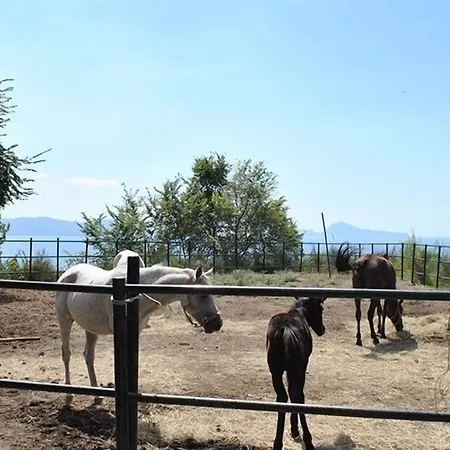 Lantgård Tenuta Le Fornacelle Torre del Greco